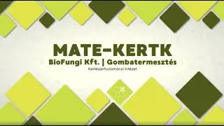 MATE-KERTK #1 | BioFungi Kft. | Gombatermesztés