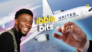 Elon Musk&rsquo;s Neuralink Demo with Pig. The Legacy of Chadwick Boseman. SkyDrive takes flight.