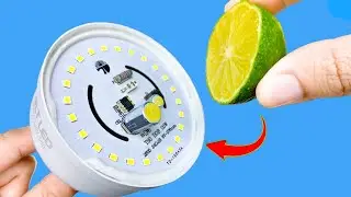 💡 Don&rsquo;t Throw Away Your Old LED Light Bulb &ndash; This Simple DIY Idea Makes Life More Fun