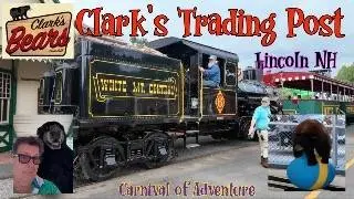 Bear Shows & Family Fun at Clark's Trading Post