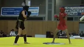 Knockout, Berlin 2011, Wushu-Sanda.