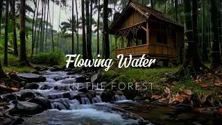 Peaceful Forest Stream &mdash; Relaxing Flowing Water Sounds for Sleep & Focus