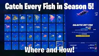 How to Catch Every Fish in Fortnite Season 5