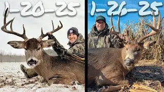 2 BIG Wisconsin Bucks out of the SAME SET 6 Days Apart | Hunt Collective Season 3