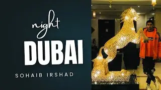 Talabat rider night duty in Dubai#dubaiframe#punjabi#krama 