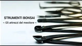 STRUMENTI BONSAI - GLI ATTREZZI DEL MESTIERE