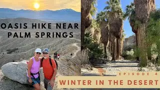 An Oasis in the Desert | Coachella Valley Preserve | Near Palm Springs