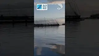 World Water Week