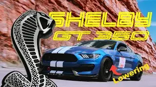 Shelby GT350 from Texas gets Handling Improvements | Lowering + Aligning