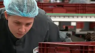 NL Jobs klients Looye Kwekers