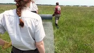 Join our biologists: Build a predator deterrent fence