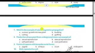 Reproduction in Plants MCQs | Unit 2 | PCTB Science Class 6