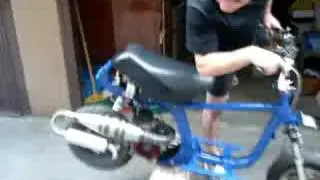 Recently born...HONDA GP RACE - Bolo's garage
