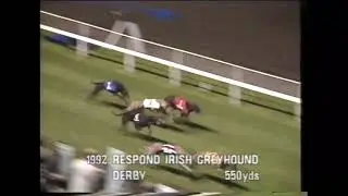 1992 Irish Greyhound Derby Final