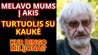 VYTAUTAS &Scaron;USTAUSKAS: I&scaron; kur pinigai 