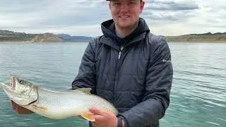 Epic Lake Trout from the Shore of Flaming Gorge | Catch, Free Camping, & Cook