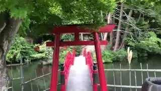 japan so far 2/6/20