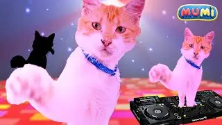 Techno Cat | Disco Party Time For Cats | Meow Mix