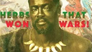 HERBS & War. A look into their connected history W/ Zulus, Incas, Greeks, & WW1 & 2