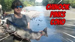 Puyallup/Carbon river Chinook Coho & Pinks