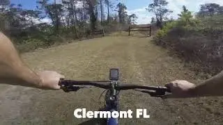 Florida Sugar Sand in Lake Louisa State Park