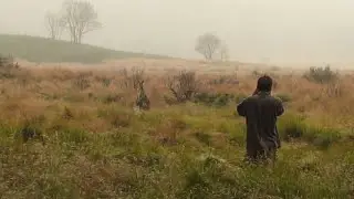 Hiking and Shooting Film in Beautiful Australian Sub-Alpine