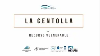 Centolla en Patagonia Argentina  - CAP&Iacute;TULO 1 La Centolla un Recurso Vulnerable
