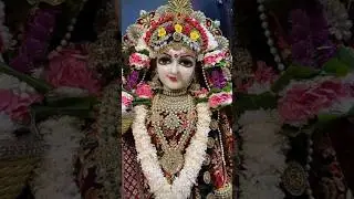 परम धन राधा राधा राधा राधा 🌺#shorts #shortsfeed #youtubeshorts #explore #viralvideo #tranding