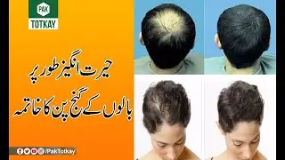 | Pak Totkay |