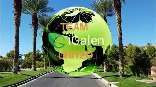iGalen Vision By iGalen Diamond And Top Team Leader Dori ONeill