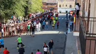 (5) ENCIERRO DE OLIAS DEL REY..2019