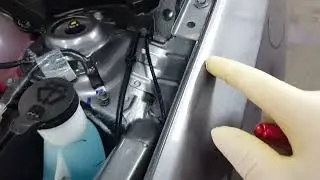 Paint correction of factory flaws on GMC Terrain prior to ceramic coating.