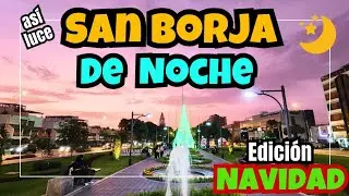 As&iacute; luce San Borja de Noche en Navidad 2024