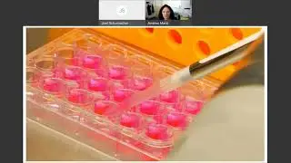 How Vaccines Work by Andrea Marzi, PhD Rocky Mountain Labs
