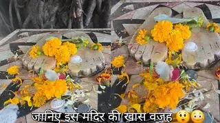 एक बार जरूर करें इस मन्दिर मैं दर्शन यहां मिलेगे आपको हर देवी देवता वीडियो पूरी देखे 😲😳🥺❣️😍