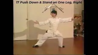 Tai Chi Chuan Yang Style 24 Form | Doc-Fai Wong