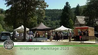 Impressionen: Wildberger Markttage und Martinsregatta 2023