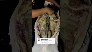 65kls na lechon baboy ilang kilo na Asin ang eh timpla at bat hindi ito maalat just watch