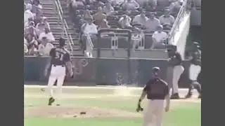 The Infamous Pitch: When Randy Johnson Accidentally Obliterated a Bird (2001) ⚾🐦