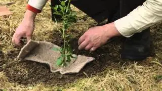 Planting and caring for native plants (WET 2014)