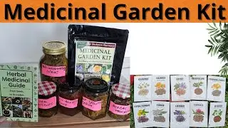medicinal garden &ndash;⚠️ ALERT⚠️- medicinal plants