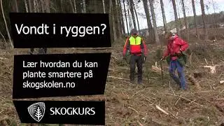 Plantetips # 6b: Vondt i ryggen?