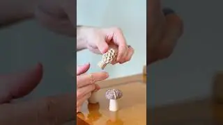 Plants that Play with You