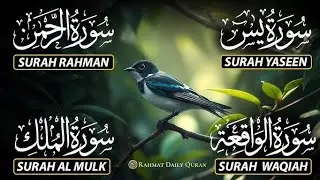 Surah Yasin | Surah Rahman | Surah Waqiah | Surah Mulk | By Sheikh Muzammil Nadwi 