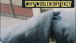 drying woolen under sun
