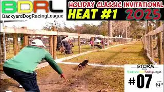 Watch Rescued Dogs Race to Victory! Their Speed Will Amaze You!