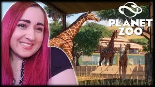 🌍Fourth Time Streaming Planet Zoo // Great Caldera Safari Park // Career Mode🦒