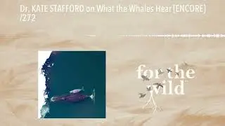 Dr. KATE STAFFORD on What the Whales Hear [ENCORE] /272