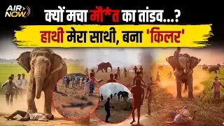 हाथी मेरा साथी, क्यों बना दुश्मन? हाथी ने 474 लोगो की ली जान | Forest Department | Latest Update