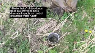 Grazing Exclusion: Reduced Silt, Pollution and Flash Flood Risk